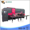 Steel Sheet Turret Punching Machine for Small Plate